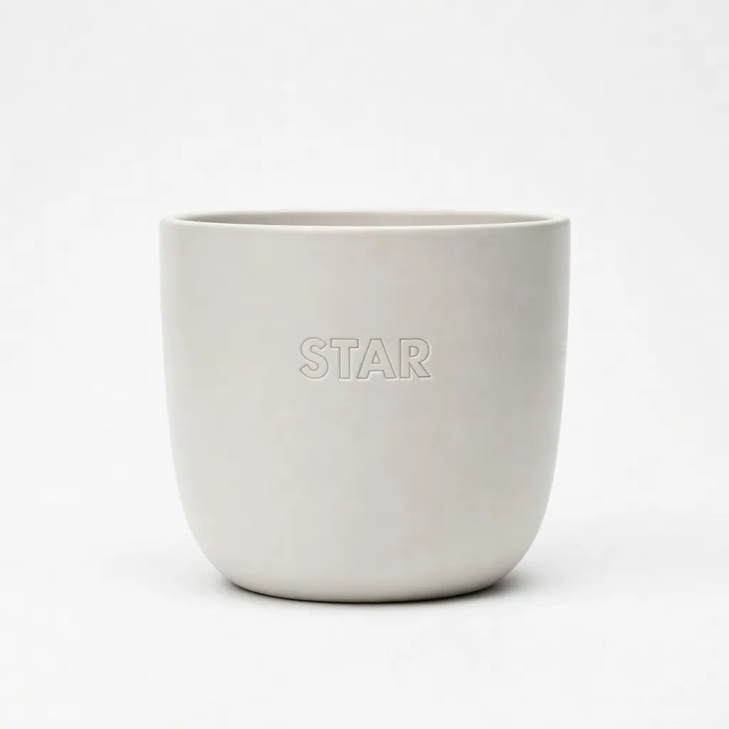 Star Saksı Deluxe