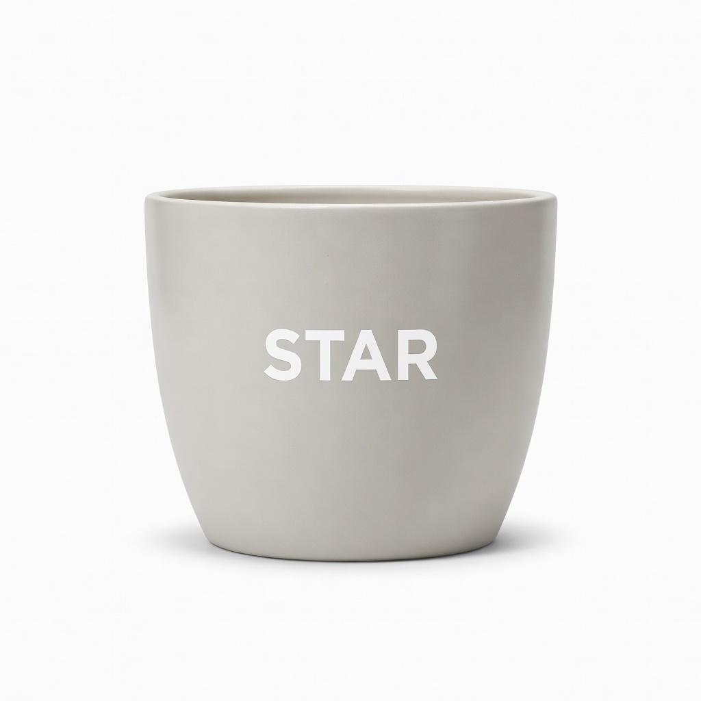 Star Saksı