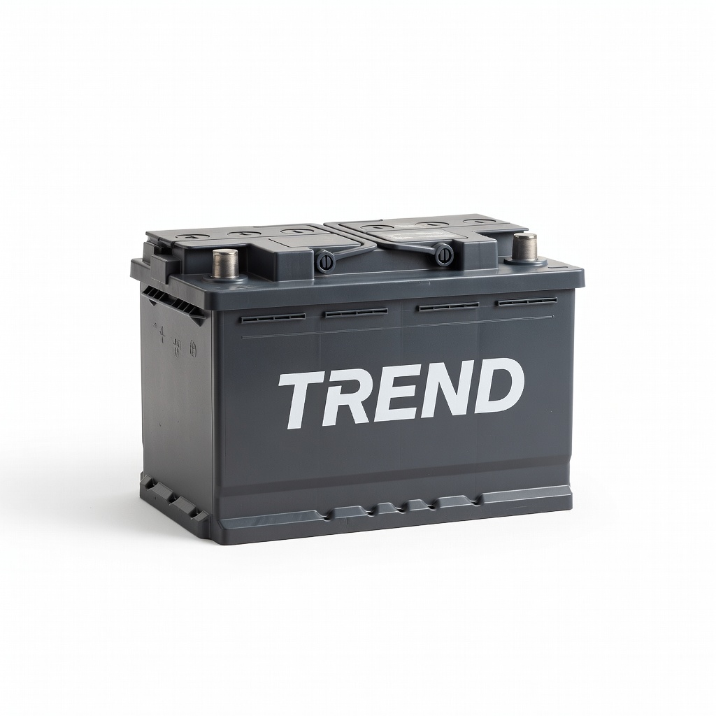 Trend Akü 2025