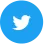 Icon Social Twiter